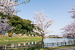 写真:中間市