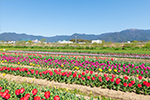 写真:直方市
